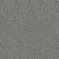  Керамогранит Estima Standard ST16 серый полированный 600х600х10, фото 1 