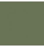  Керамогранит Estima Rainbow RW06 зеленый полированный 600х600х10, фото 1 