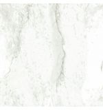  Керамогранит Estima Polaris PL01 белый матовый 600х600х10, фото 1 
