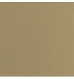  Панель композитная алюминиевая G 0993 Champagne Металлик, 3 мм (0,3 мм), 1500х4000 мм, фото 1 