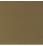  Панель композитная алюминиевая G 0827 Champagne Gold Металлик, 3 мм (0,21 мм), 1220х4000 мм, фото 1 