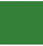  Панель композитная алюминиевая G 6018 Yellow Green, 3 мм (0,21 мм), 1220х4000 мм, фото 1 