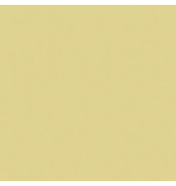  Керамогранит Estima Rainbow RW151 желтый матовый 600х600х10, фото 1 
