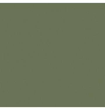  Керамогранит Estima Rainbow RW06 зеленый матовый 600х600х10, фото 1 
