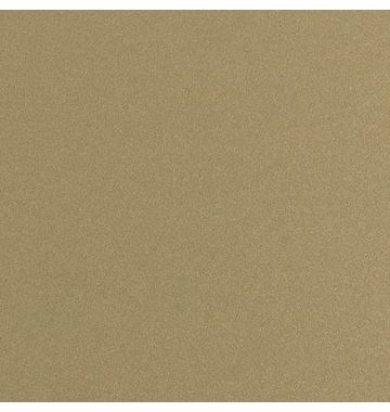  Панель композитная алюминиевая G 0993 Champagne Металлик, 3 мм (0,21 мм), 1220х4000 мм, фото 1 