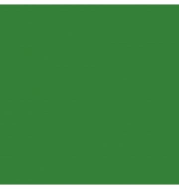  Панель композитная алюминиевая G 6018 Yellow Green, 3 мм (0,3 мм), 1220х4000 мм, фото 1 